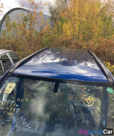 Крыша со стойками Ниссан икстреил синяя - купить Городке 2