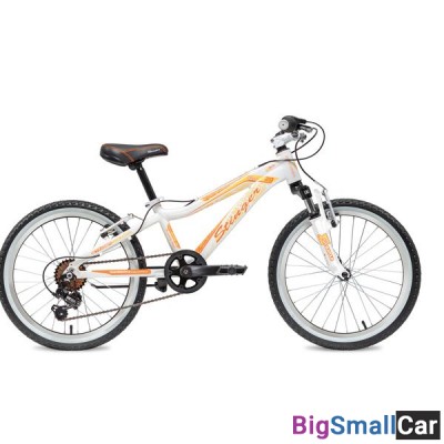 Дорожный велосипед STINGER 20AHV.FIONA.10WH8 - купить Городке 2