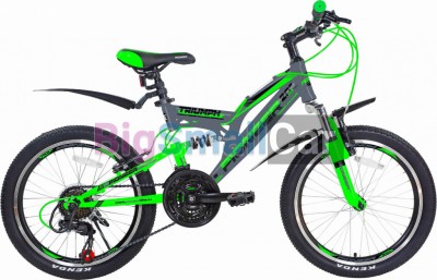 Дорожные велосипеды PIONEER TRIUMPH 20/13 gray-green-black - купить Городке 2