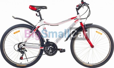 Дорожные велосипеды PIONEER OPTIMA 26/14 mint-blue-pink - купить Городке 2